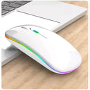 WaveCharge RGB – Mouse Sem Fio Recarregável 2.4GHz