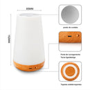 DreamLight 13C – Luminária Touch RGB Recarregável com Controle